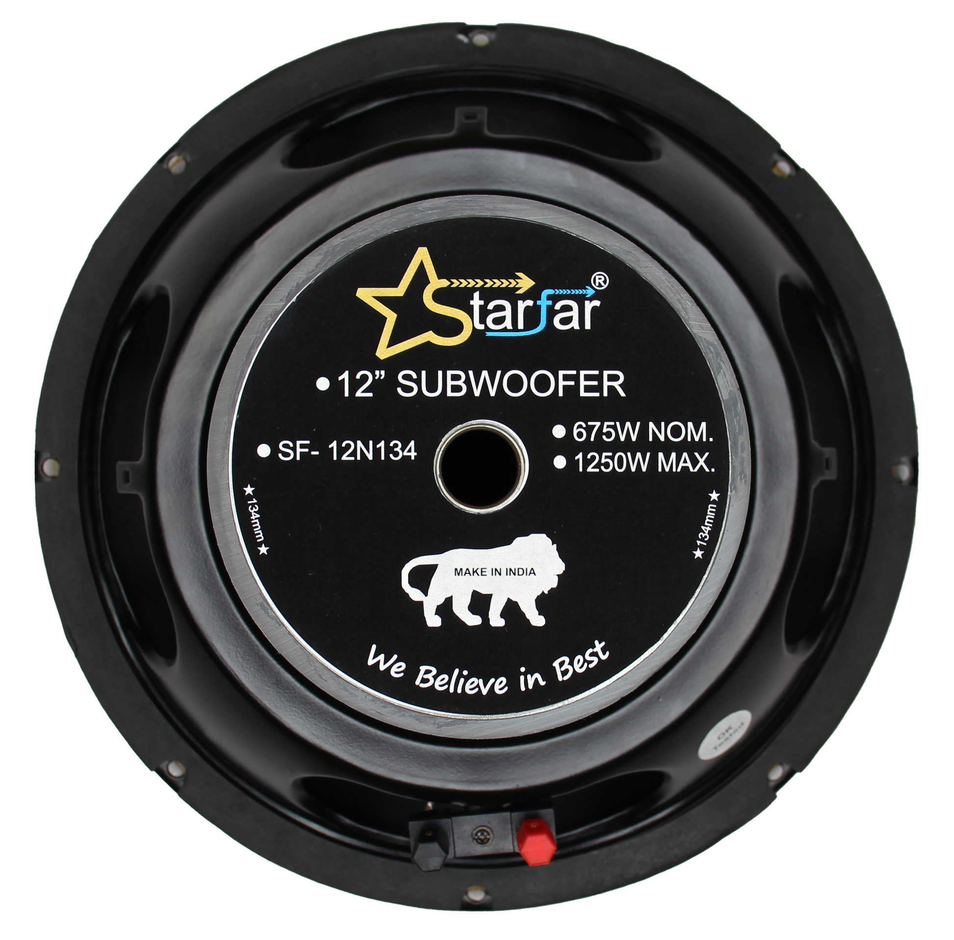 Starfar 12 inches Subwoofer|Back Side