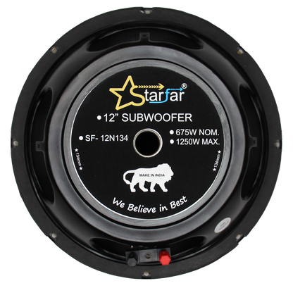 Starfar 12 inches Subwoofer|Back Side